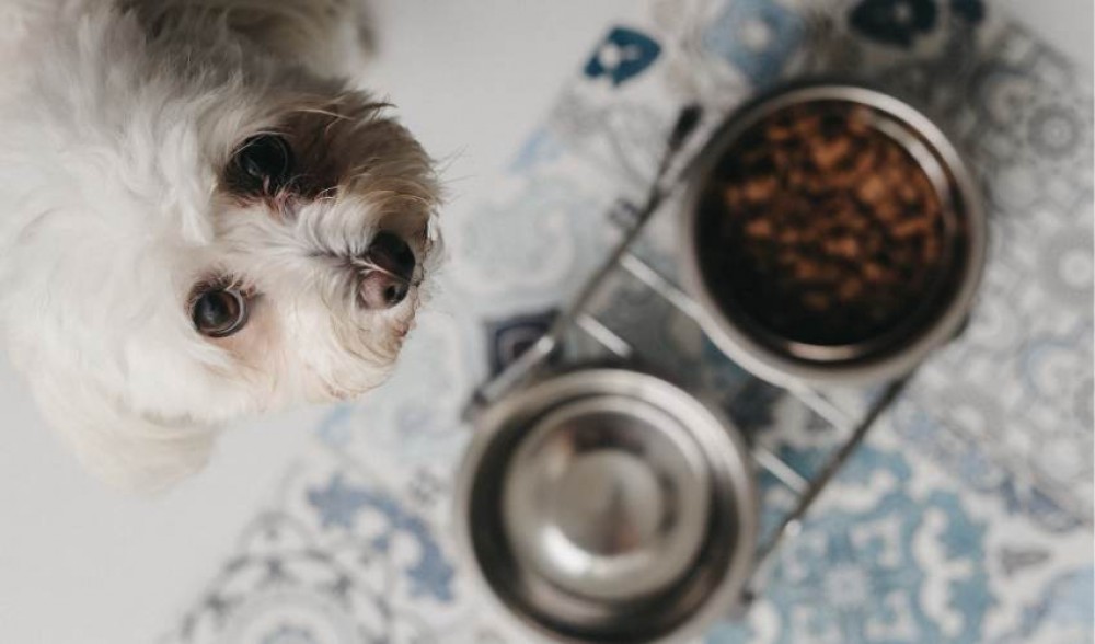 Protective mats, New collection 2022